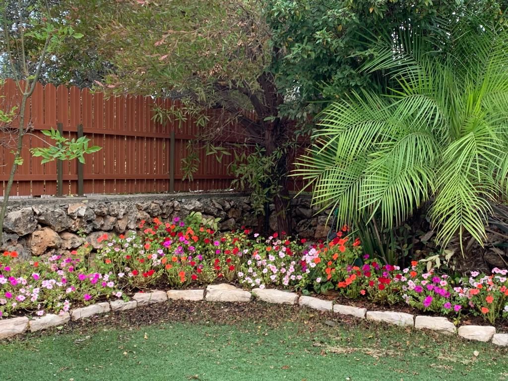 מהסמארטפון שלי